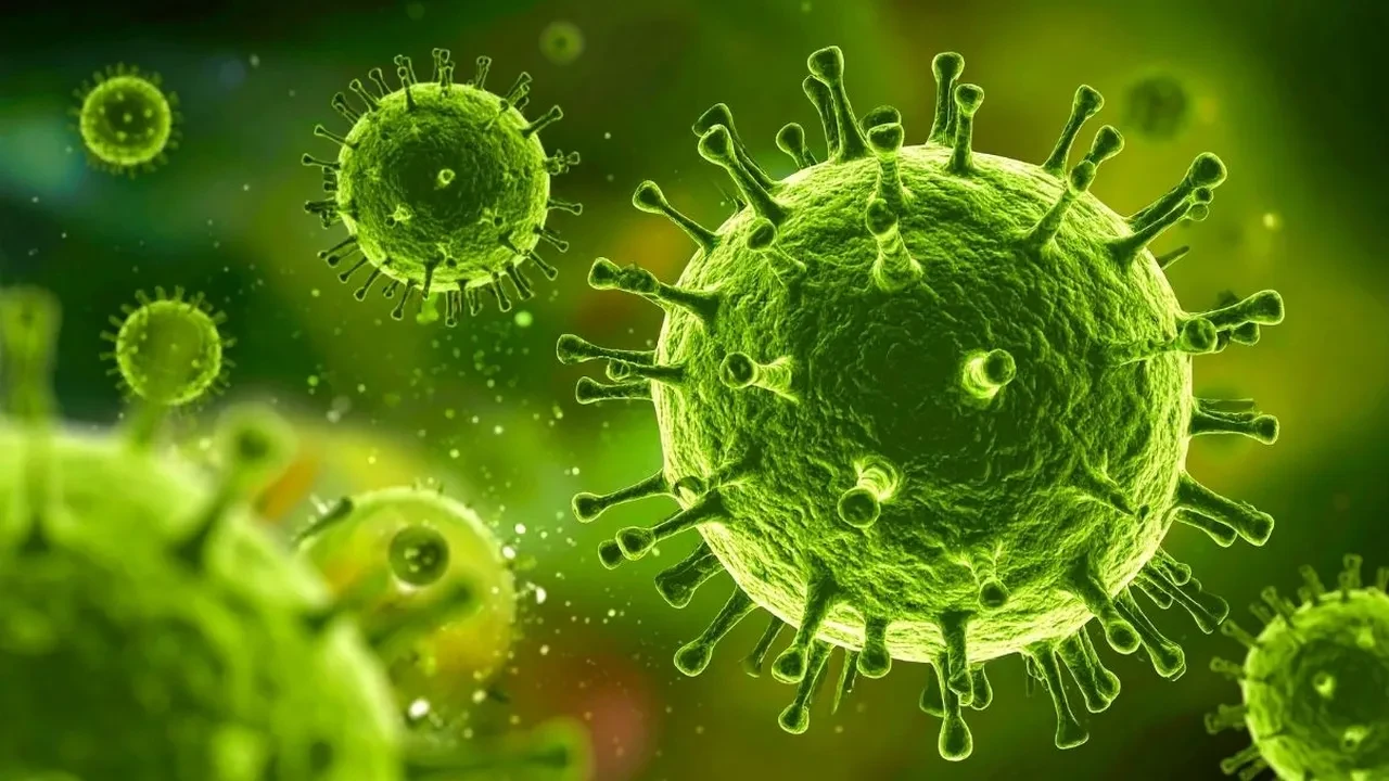 Kullanılan en kirli eşya telefon oldu! Adeta mikrop yayıyor