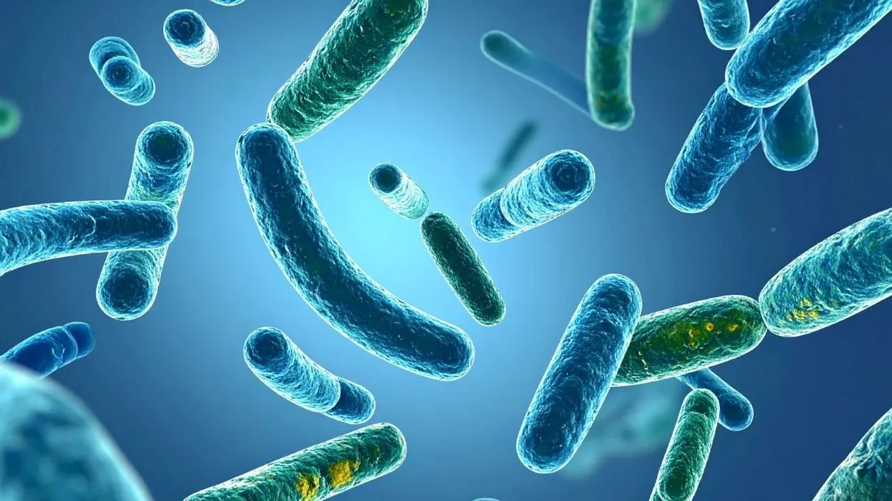 Kullanılan en kirli eşya telefon oldu! Adeta mikrop yayıyor