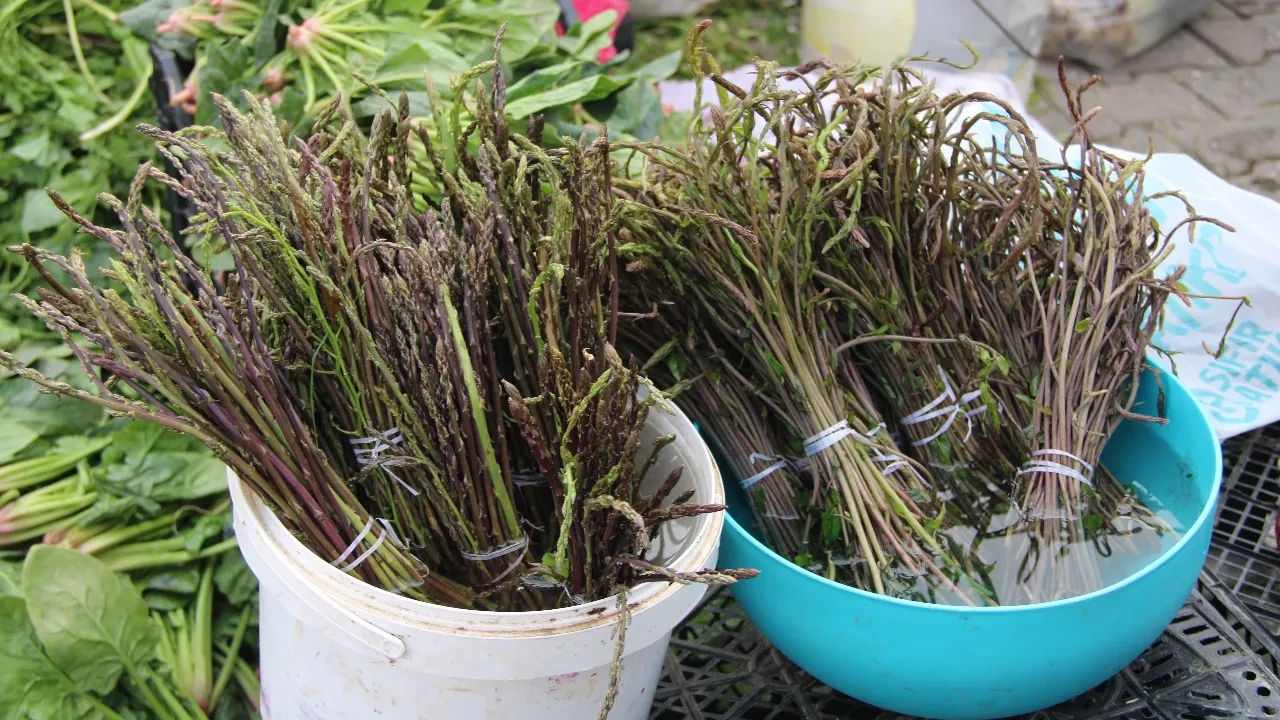 Muğla’da tilkişen sezonu başladı! Demeti 125 TL, faydaları saymakla bitmez