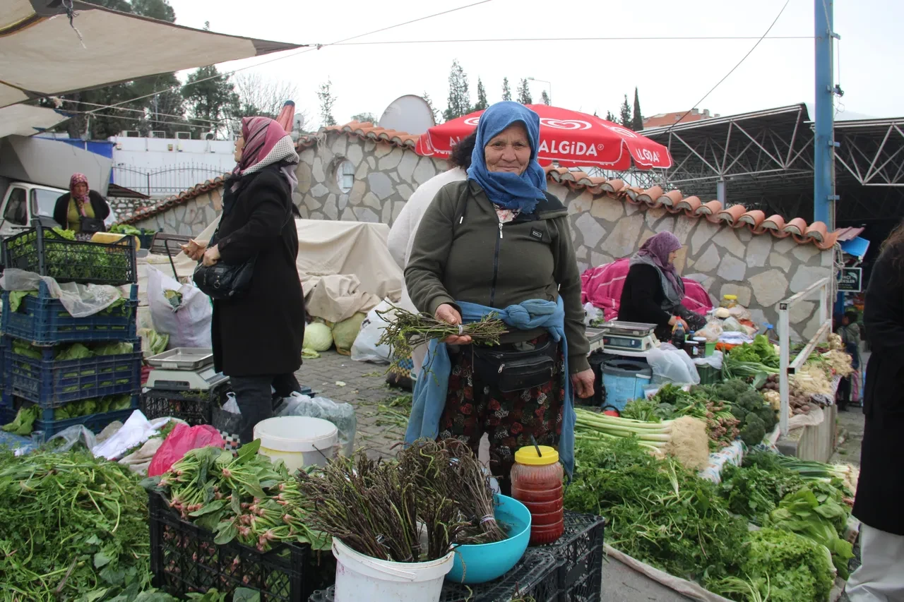 Muğla’da tilkişen sezonu başladı! Demeti 125 TL, faydaları saymakla bitmez
