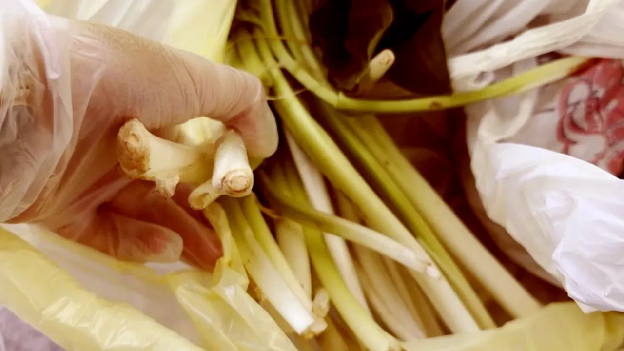 Pazar alışverişi dehşetle bitiyordu! Pazı diye aldı, yediği anda fenalaştı: 'Çok zehirli bir ottur' 