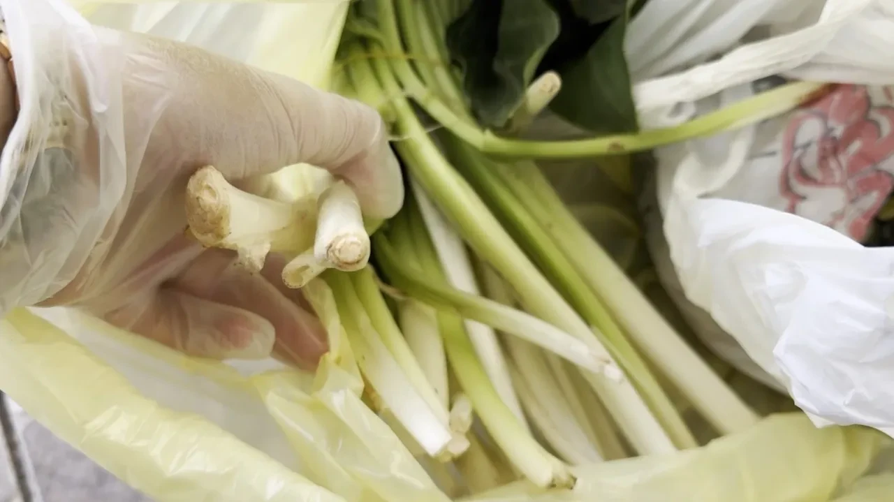 Pazar alışverişi dehşetle bitiyordu! Pazı diye aldı, yediği anda fenalaştı: 'Çok zehirli bir ottur' 