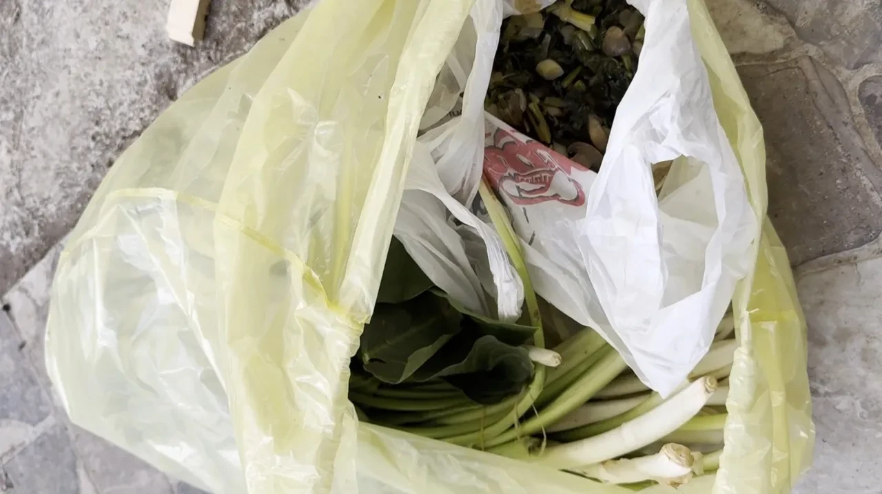 Pazar alışverişi dehşetle bitiyordu! Pazı diye aldı, yediği anda fenalaştı: 'Çok zehirli bir ottur' 