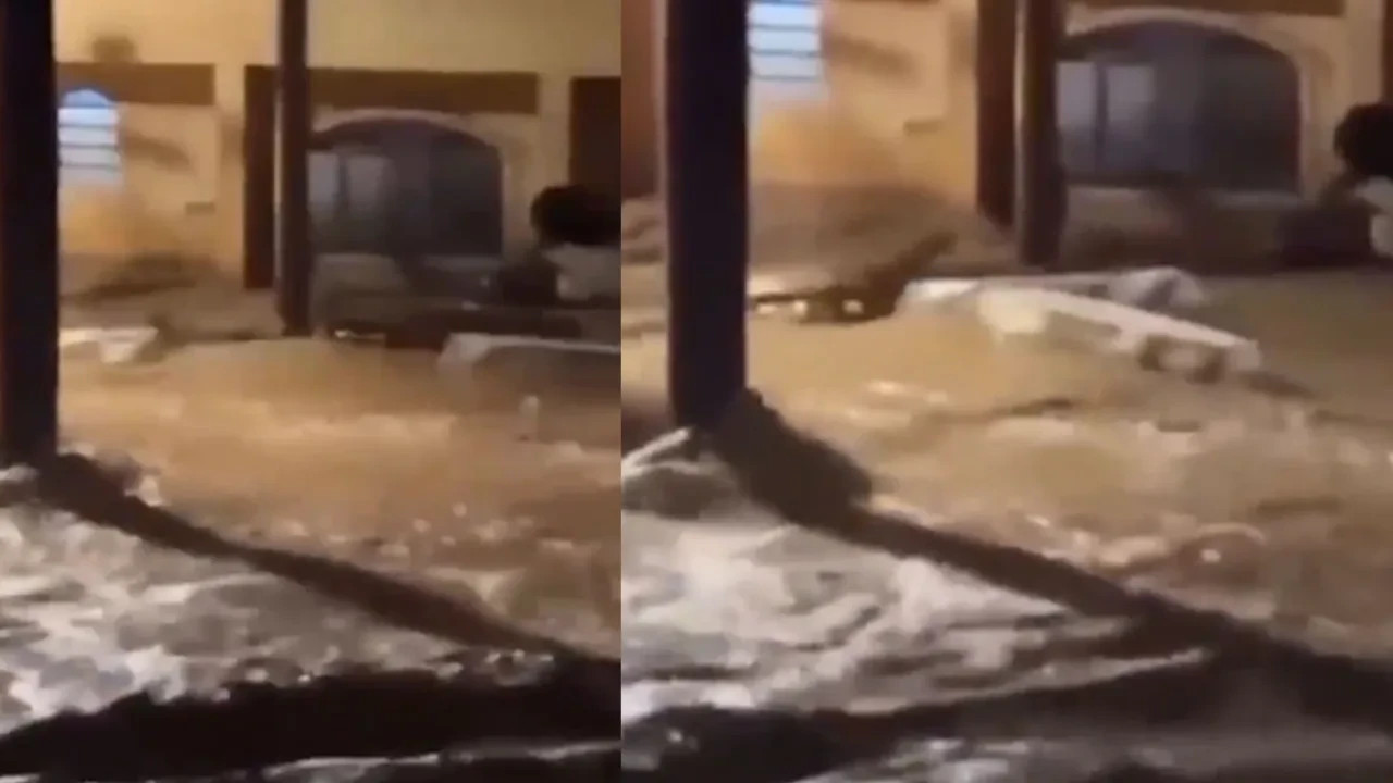 Sel suları tabutları sokaklarda sürükledi! Brezilya felaketi yaşıyor