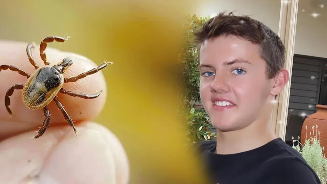 Ülkede ilk, dünyada ikinci vaka: Kene ısırığı kaynaklı kırmızı et alerjisi nedeniyle öldü