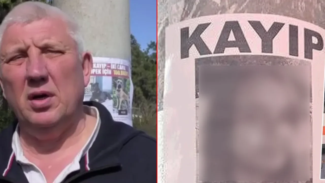 Canlı bulana 100 bin TL, ölü bulana 10 bin TL ödül! Binlerce ilan verdiler: Ruslar köpeklerini arıyor