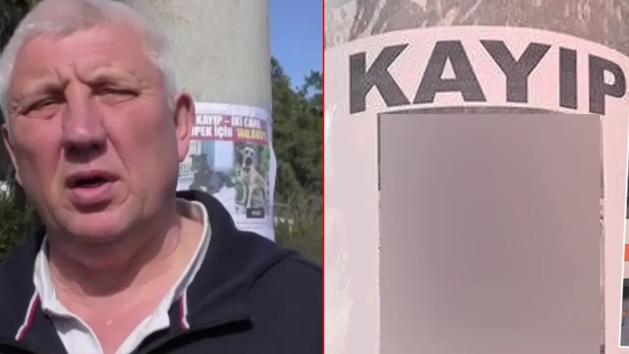 Canlı bulana 100 bin TL, ölü bulana 10 bin TL ödül! Binlerce ilan verdiler: Ruslar köpeklerini arıyor