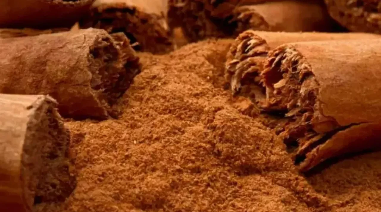 Duyan kimse inanmıyor! Bu ülkede 25 yaşına gelmiş bekarları direğe bağlayıp üzerlerine kilolarca tarçın döküyorlar