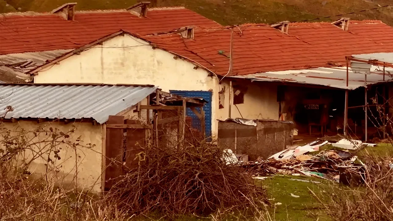 İstanbul'da çiftlik evinde testereli dehşet! Çalışana kabusu yaşattı: Ormanda yakalandı