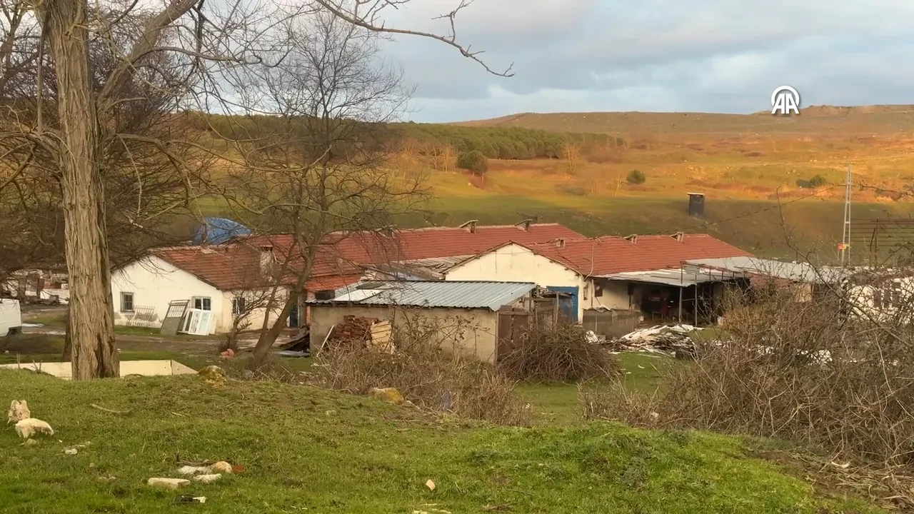 İstanbul'da çiftlik evinde testereli dehşet! Çalışana kabusu yaşattı: Ormanda yakalandı