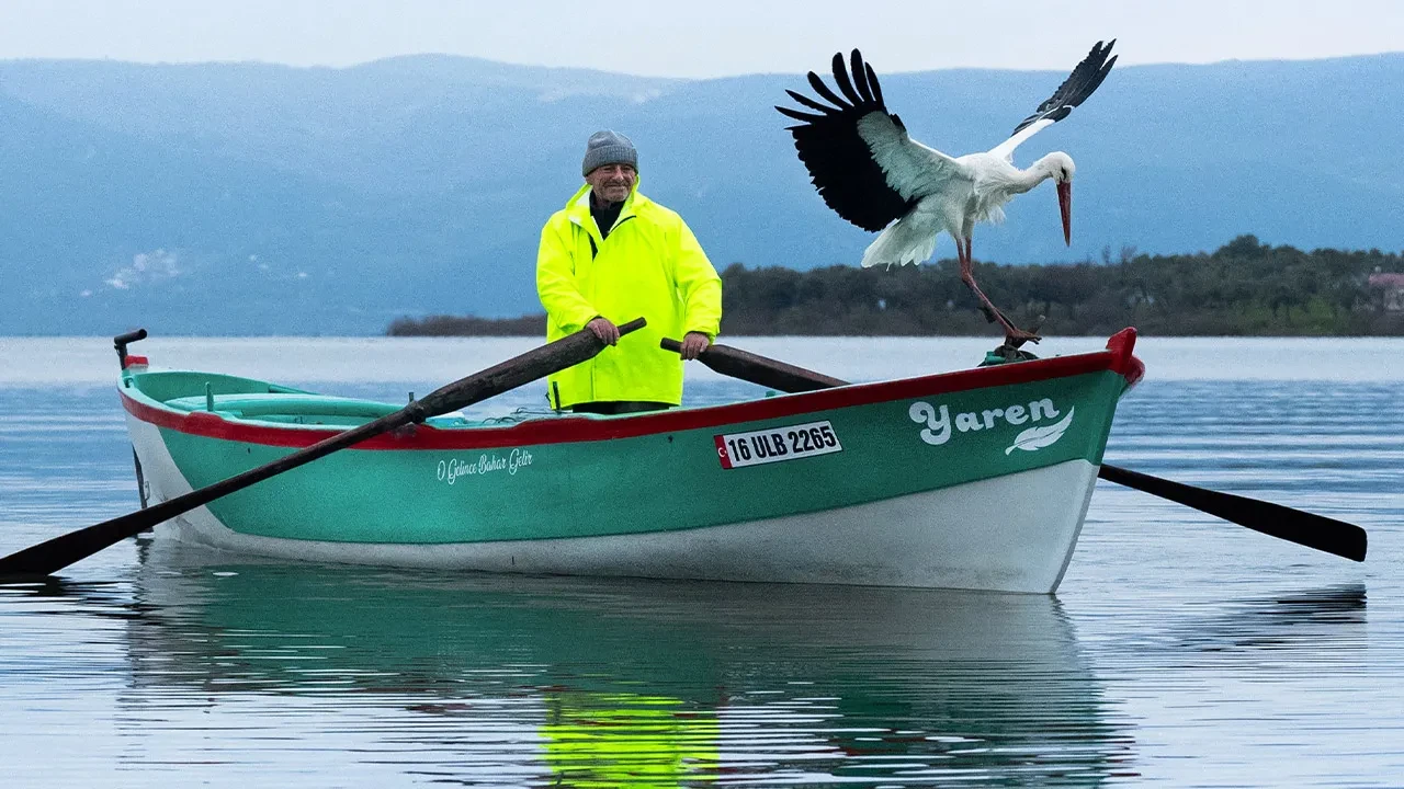 Yaren leylek sevinci! Milyonların beklediği buluşma 15. yılda gerçekleşti