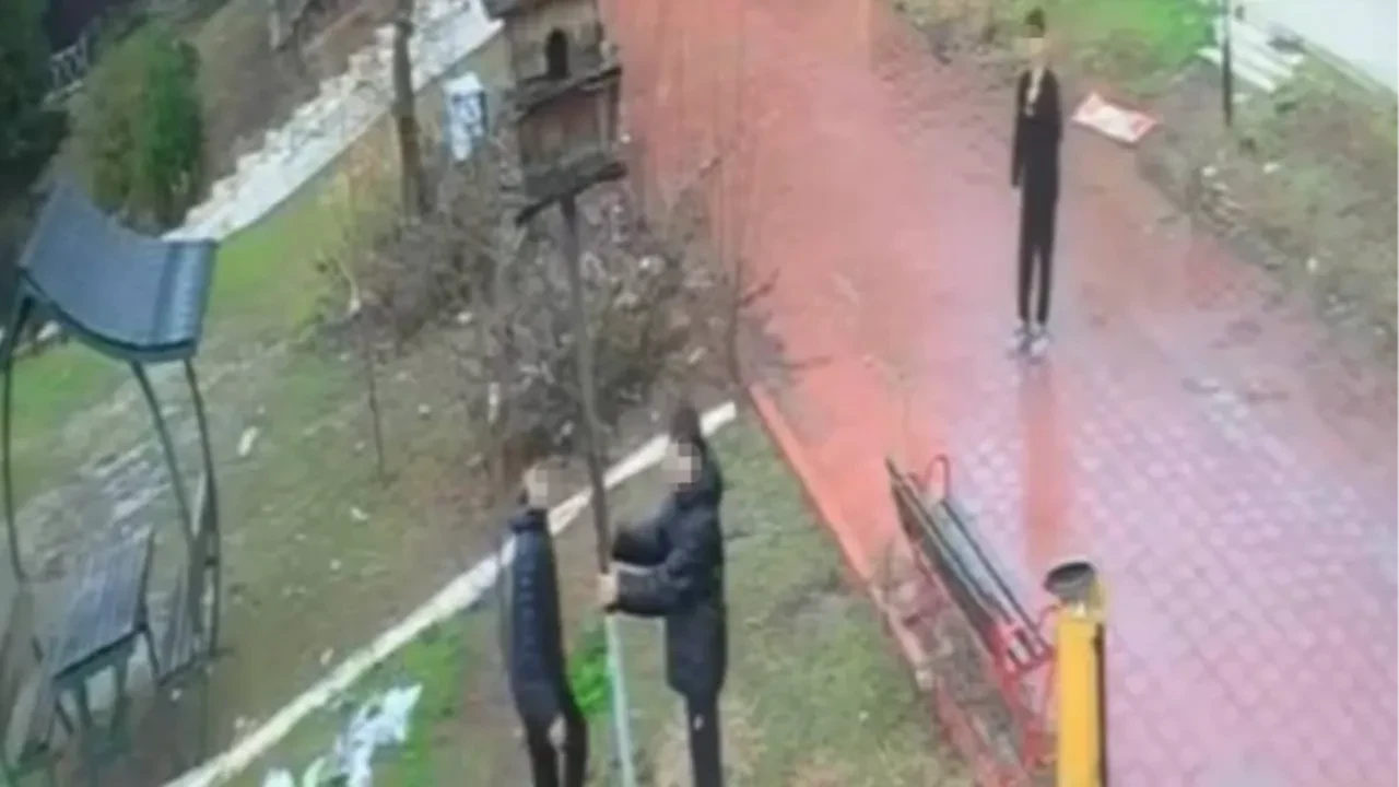 Adana'daki parkta kuş yuvasını yıktılar! Saldırgan 4 çocuğa ev hapsi