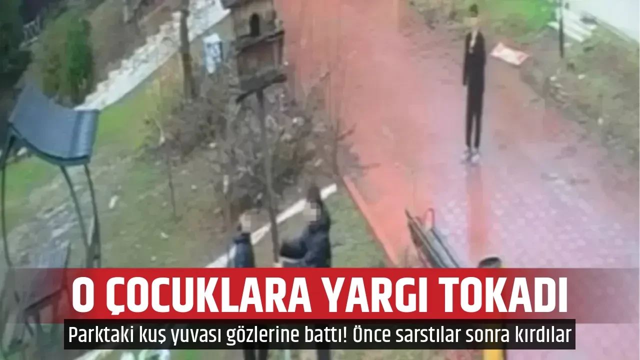 O ÇOCUKLARA YARGI TOKADI 