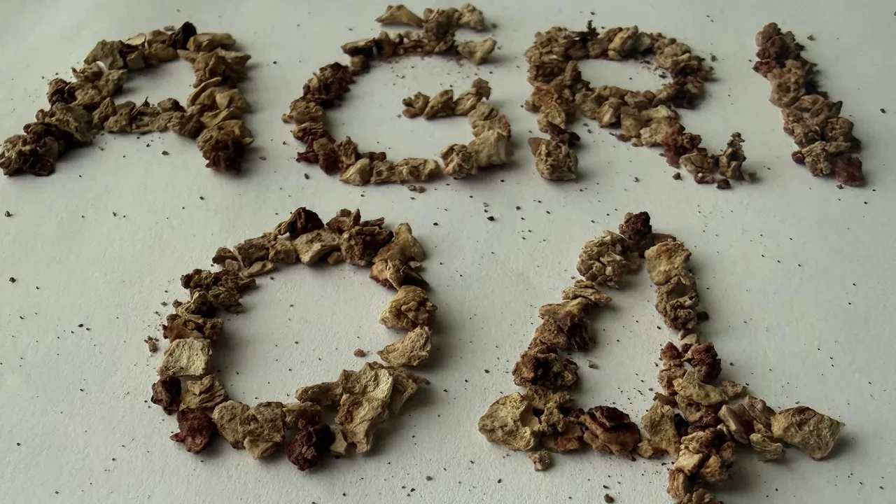 Böbreğinden 295 parça taş çıkarıldı! Boyutları 6 santimetreyi buluyor