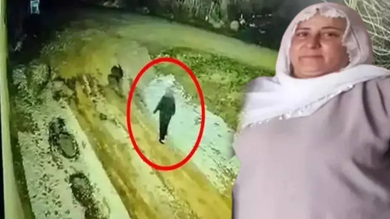 Diyarbakır 13 gün önce kaybolmuştu! Her yerde aranan Nimet Kılıç'tan acı haber 