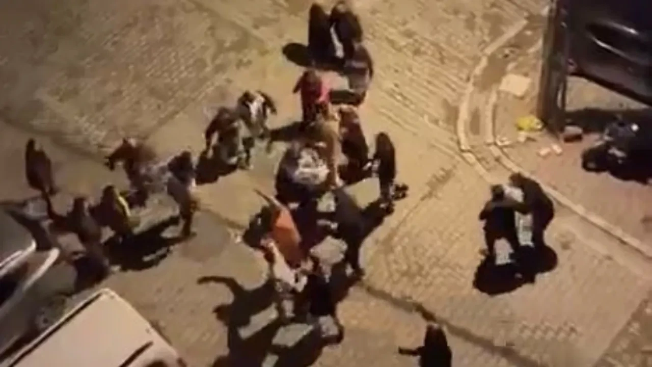 Esenyurt'ta dehşete düşüren gürültü kavgası! Ev basıp hamile kadını dövdüler