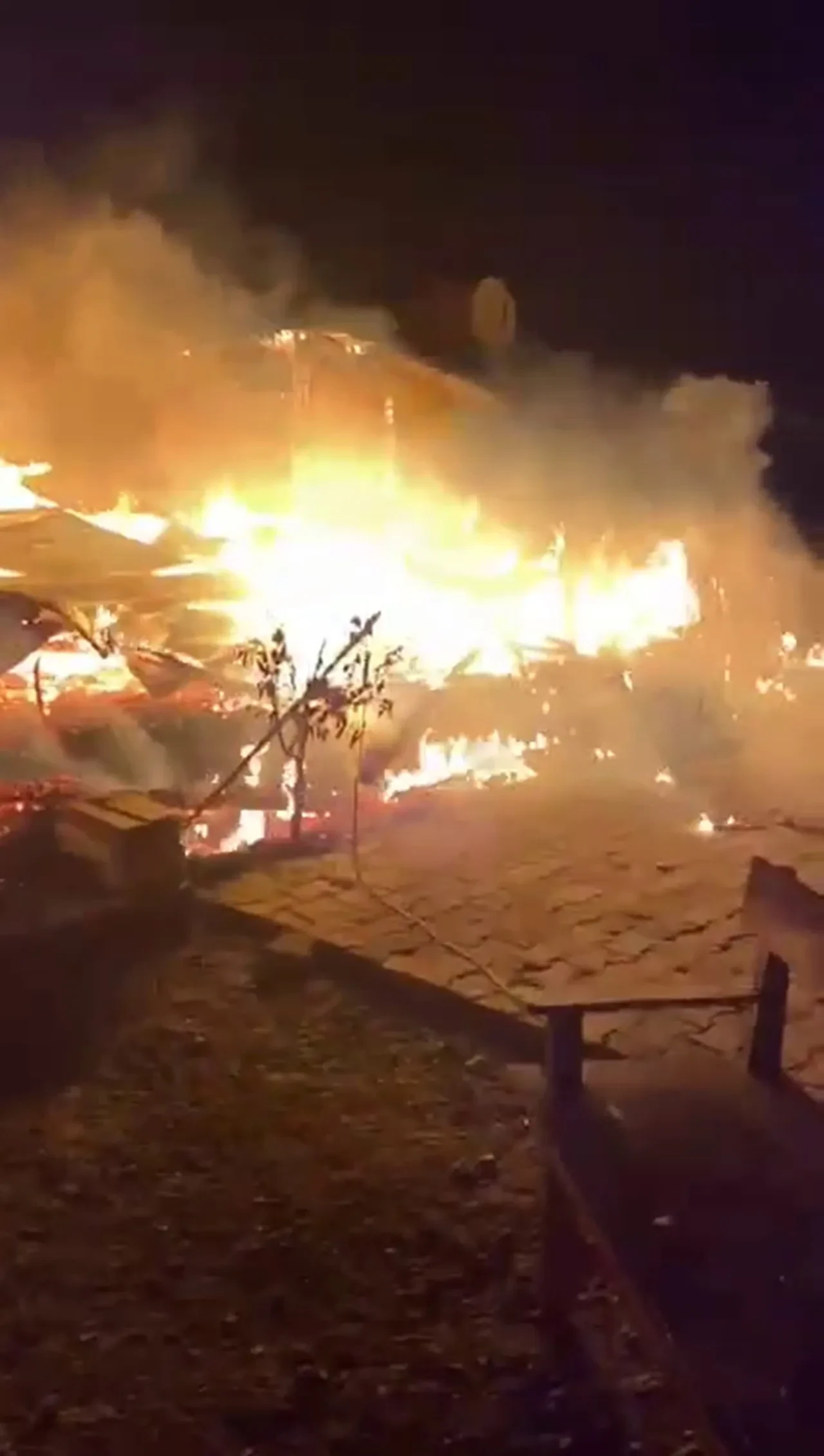 Tabanca uğruna hayatını kaybetti! Hatay'da acı olay