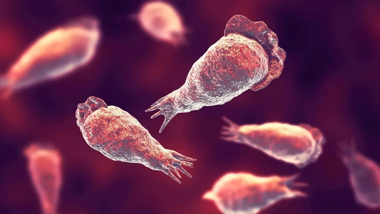 Bilim dünyasında beyin yiyen amip alarmı