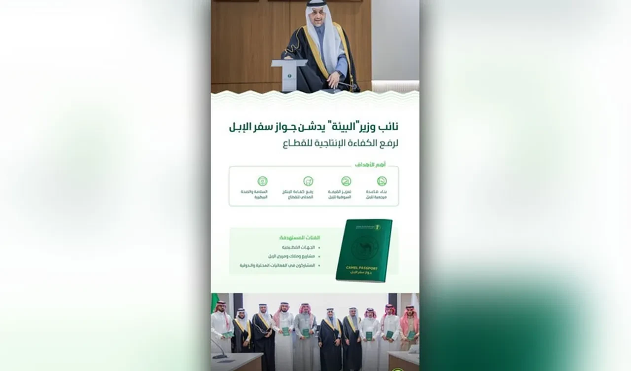 Sıra dışı uygulama: Develere pasaport verilecek