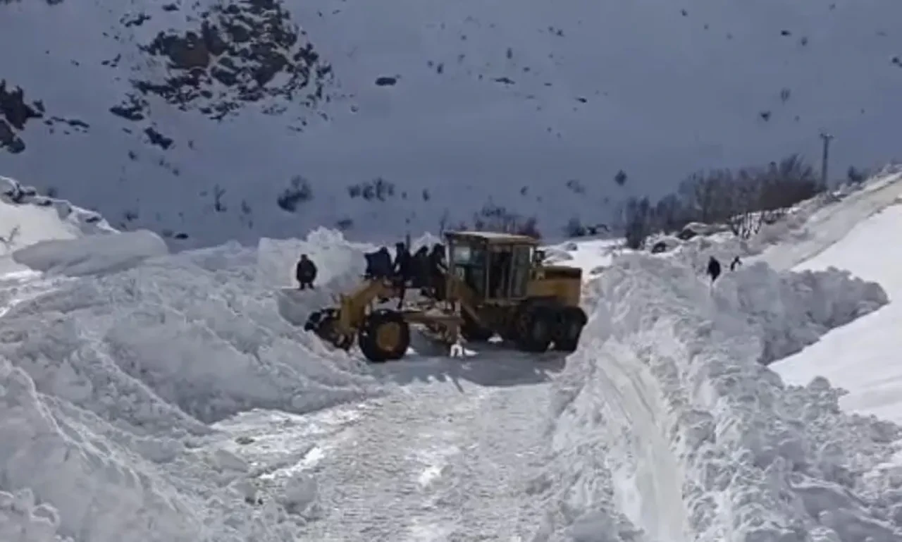 Van'da çığ düştü! Çok sayıda ekip yönlendirildi, çalışmalar sürüyor