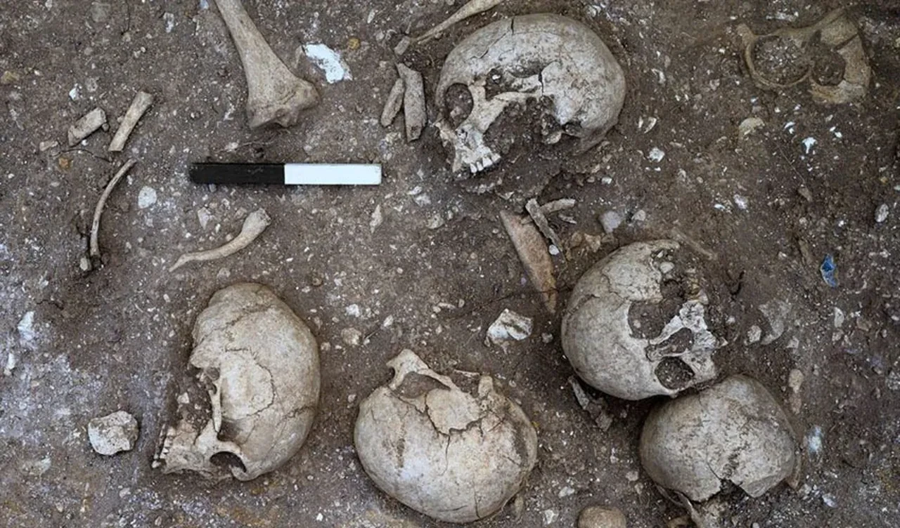 Viking Çağı'na ait kafatası bulundu! Arkeologlar gördüklerine inanamadı: Dünyanın ilk cerrahi operasyonu