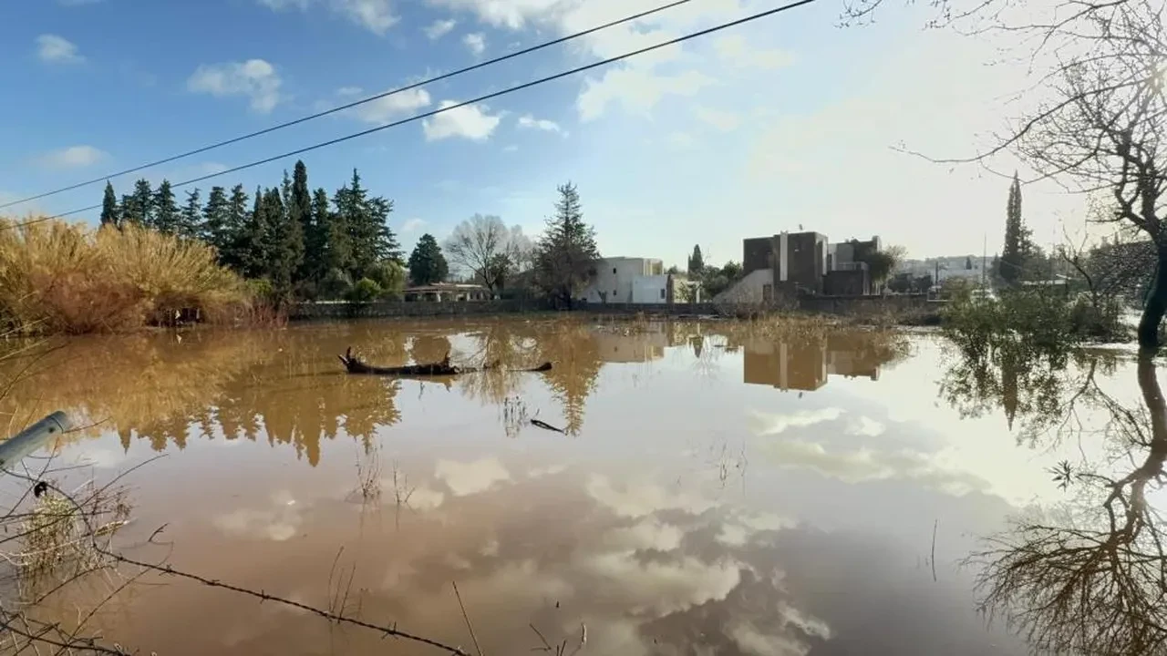 Bodrum'u sel vurdu! Evler, iş yerleri, cadde ve sokaklar sular altında kaldı: Bilanço gün ağarınca ortaya çıktı