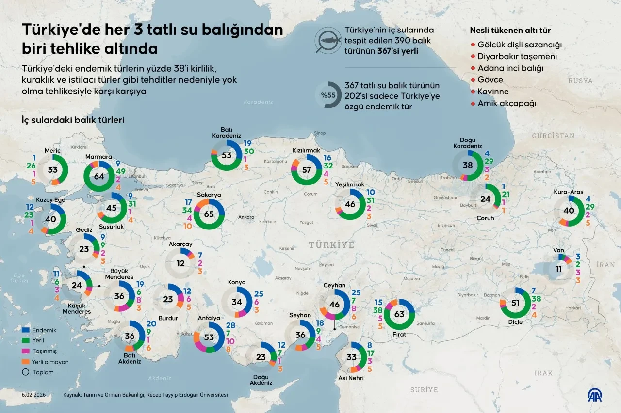 Türkiye sularındaki tehlikeyi bakanlık raporu ortaya çıkardı: Her 3 balıktan birinde yok olma riski