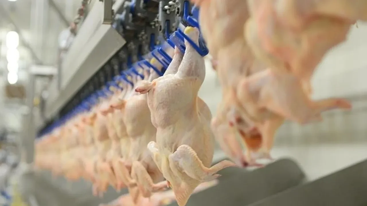 Ramazan öncesi zam yapma girişimine bakanlıktan hamle! Tavuk eti ihracatı durdurulacak