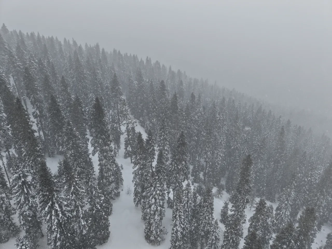 Meteoroloji'den peş peşe uyarılar: Kuvvetli yağış ve karla hafta başlıyor