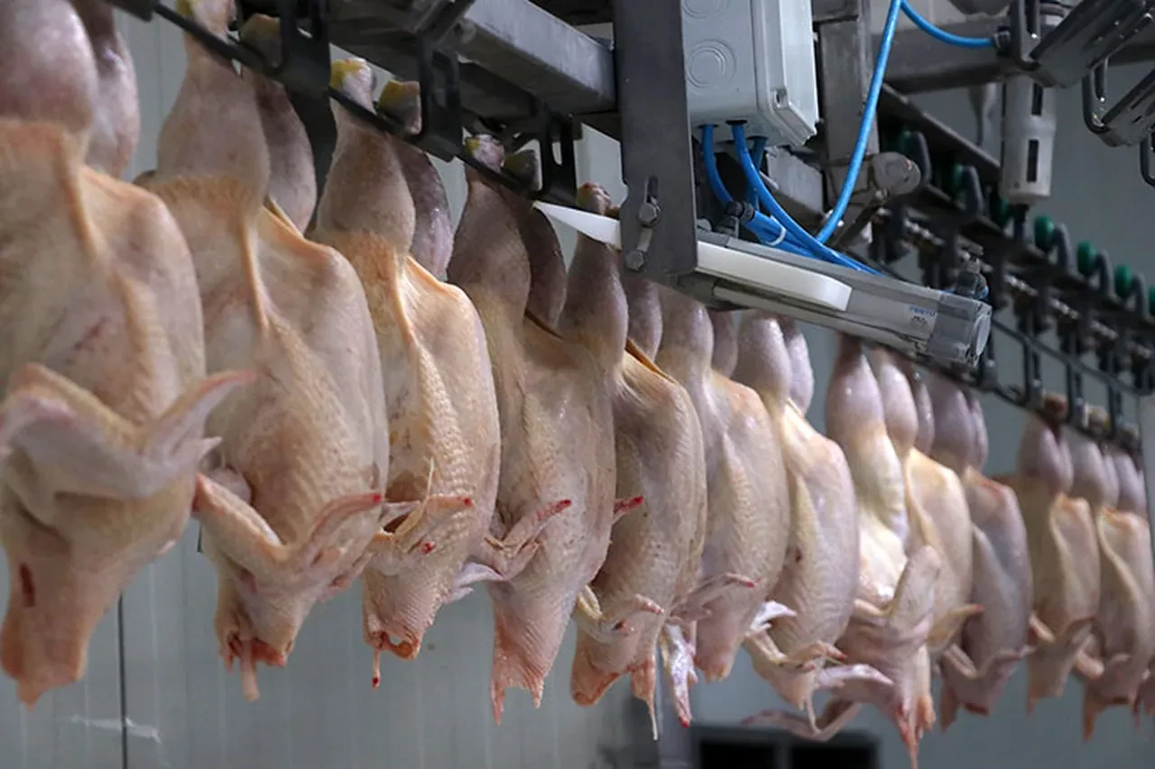 Ramazan öncesi zamma bakanlıktan hamle! Tavuk eti ihracatı durdurulacak