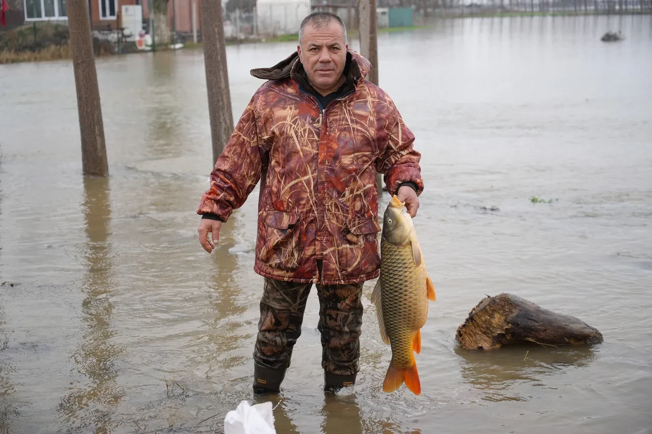 Sazan balıklarını tarladan topladılar! 7 kiloluk balıkla poz verdiler 