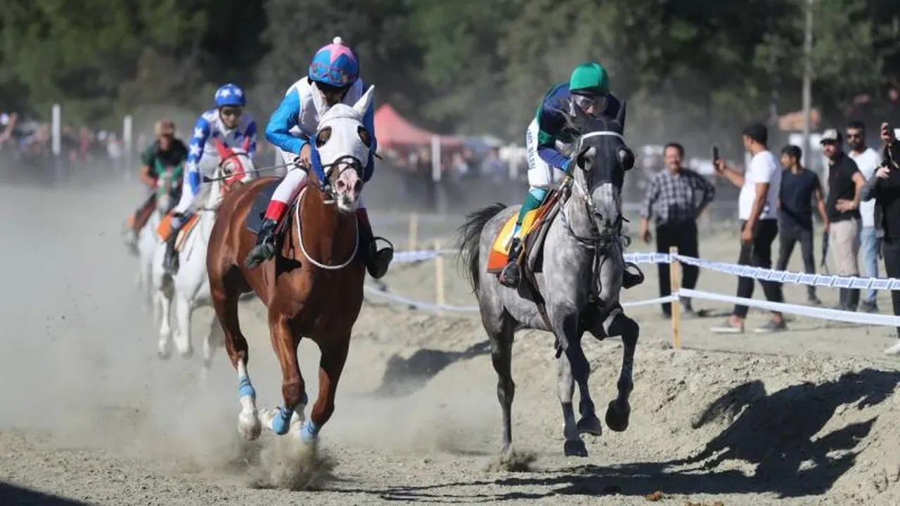 Mersin Büyükşehir Belediyesi aşevinde kesilen yarış eti kavurma mı yapıldı? Mide bulandıran iddiaya açıklama var