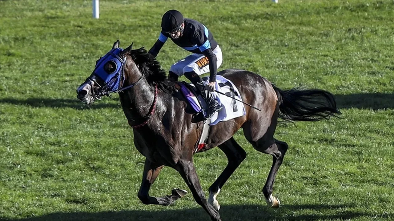 Mersin Büyükşehir Belediyesi aşevinde kesilen yarış eti kavurma mı yapıldı? Mide bulandıran iddiaya açıklama var