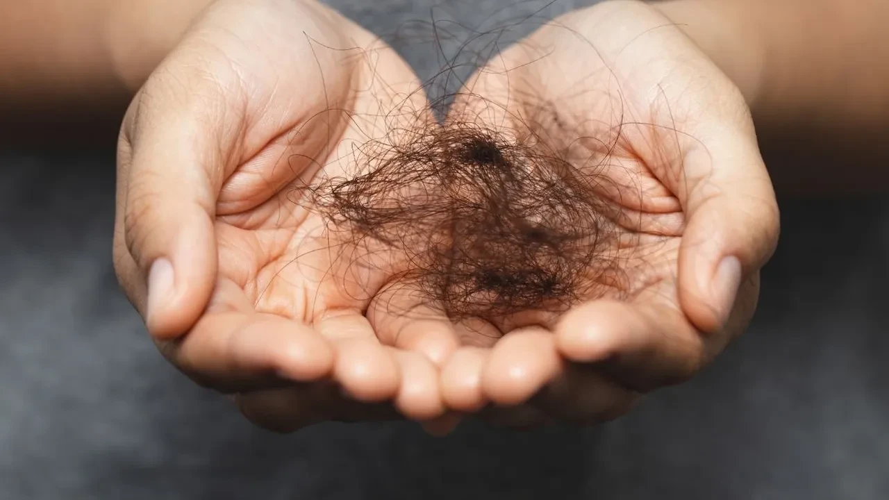 Saç dökülmesi hakkındaki tüm bildiklerinizi unutun! İbn-i Sina’dan en etkili tarif