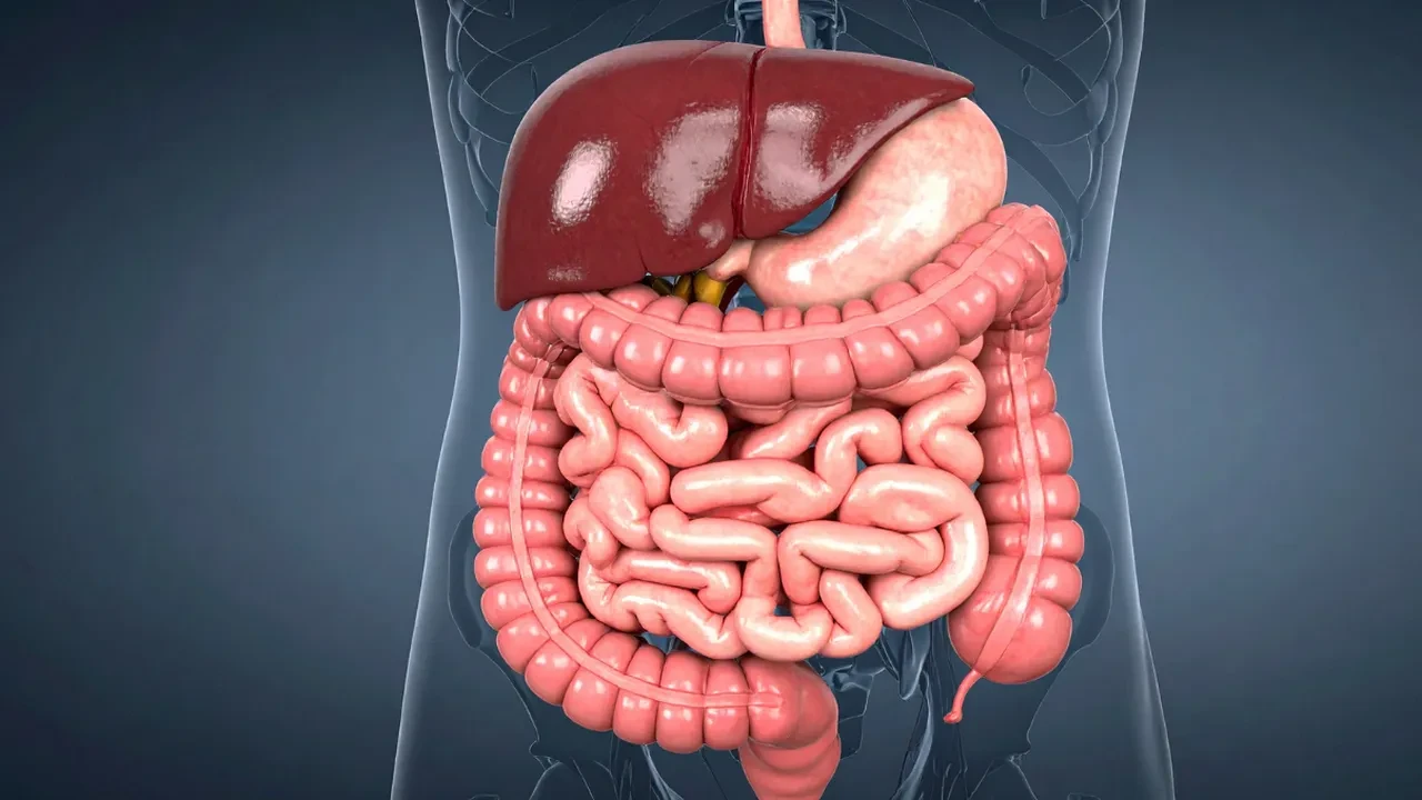 Sirke hem evinizi temizliyor hem bağırsakları çalıştırıyor! Sirkenin evde kullanım alanları