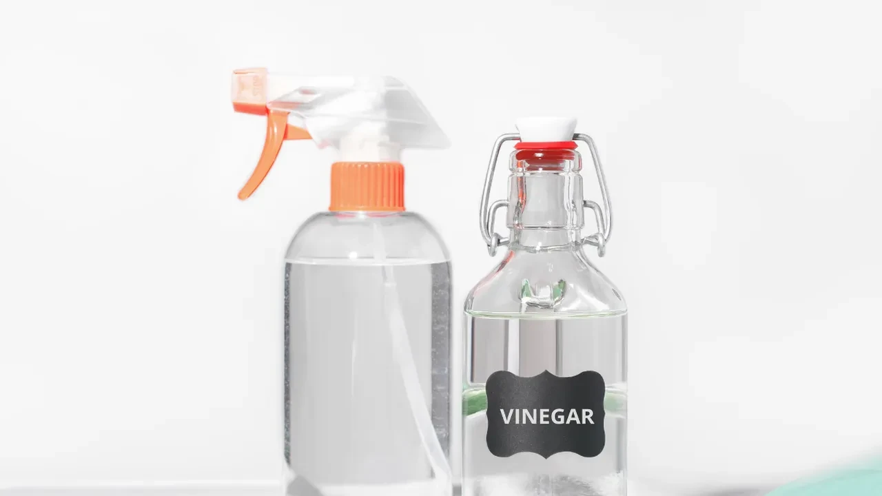 Sirke hem evinizi temizliyor hem bağırsakları çalıştırıyor! Sirkenin evde kullanım alanları