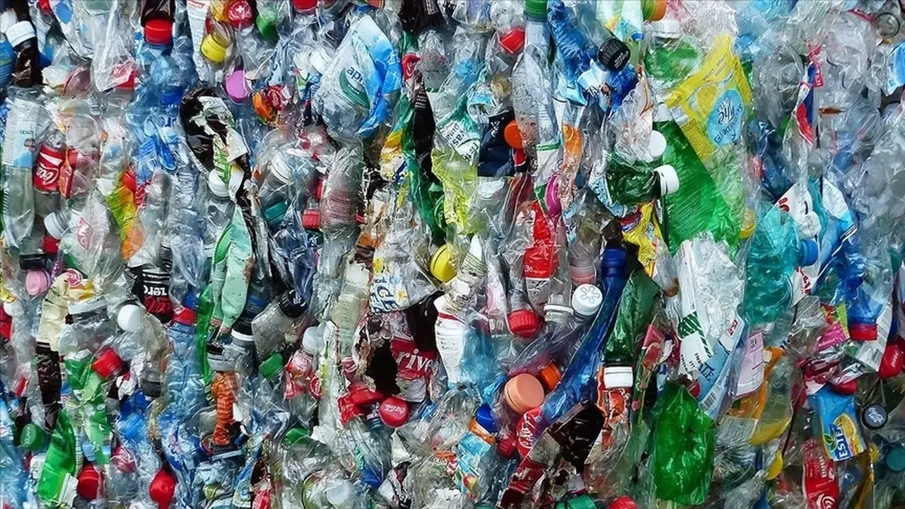 plastik bardaklar, içecek ve yemek kapları, plastik çatal, kaşık ve bıçaklar, kulak temizleme çubukları ile balon çubuklarının tek kullanımlık plastik ürünler