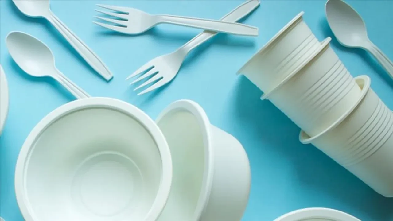 Tek kullanımlık plastikler