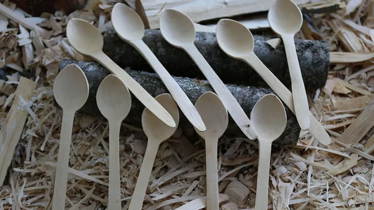 Tek kullanımlık plastiklere kısıtlama geliyor: Tarih belli oldu