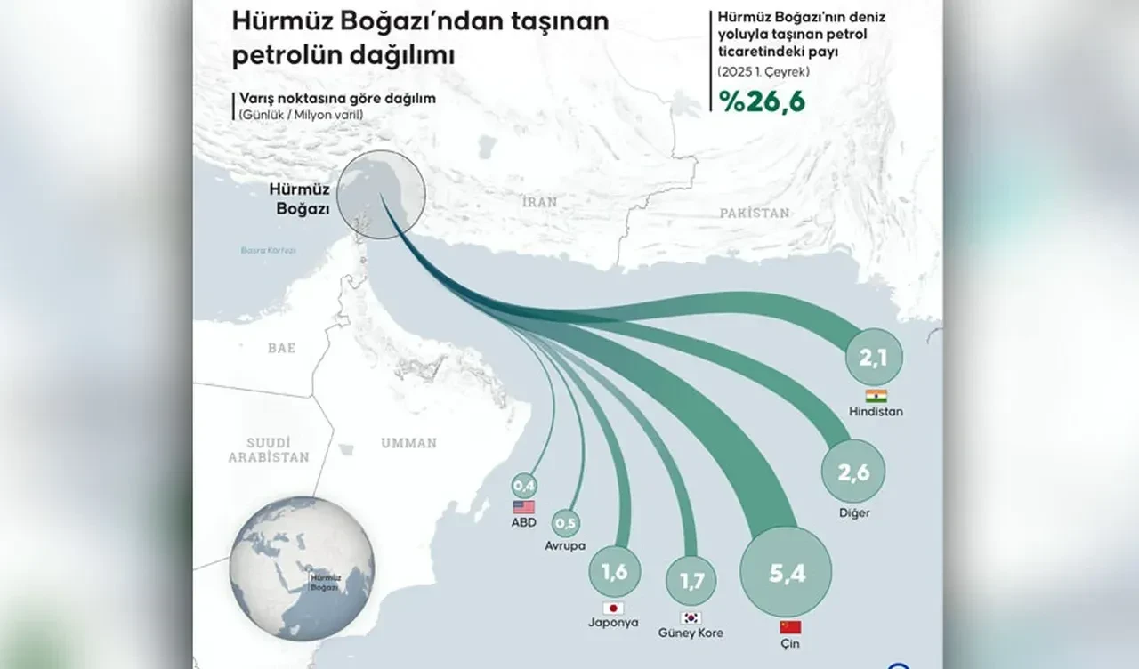 Yakıt endişesi dünyada yayılıyor: Danimarkalı bakan adeta yalvararak halkı uyardı