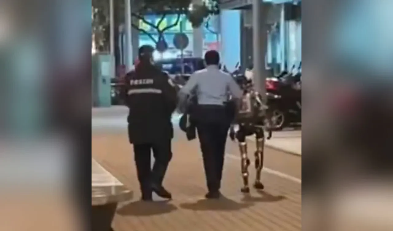 Dünyada bir ilk! Yaşlı kadını korkutan robot gözaltına alındı