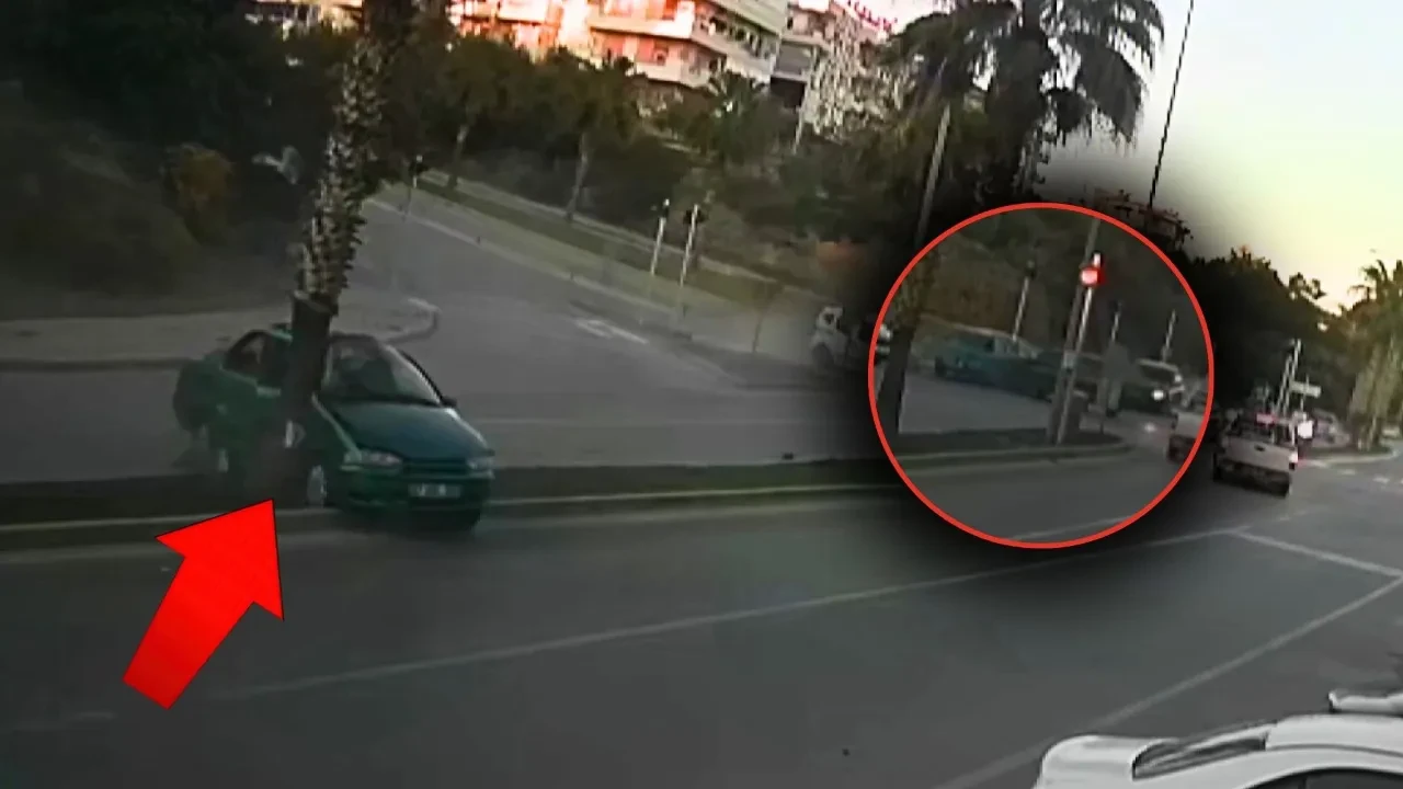 İki otomobil çarpıştı: Palmiyeye çarparak kendini durdurdu!