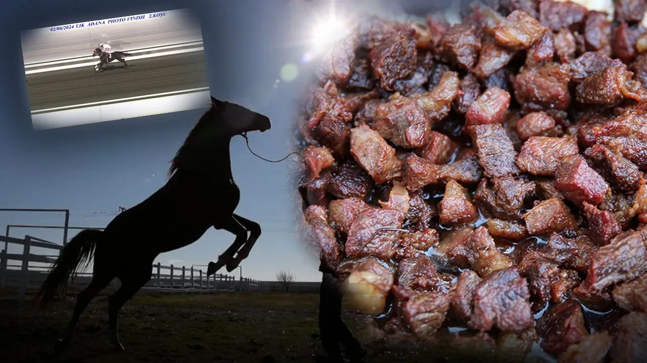 Mersin’de 'Tek Toynaklı' skandalı! Kavurmadan şampiyon atın çipi çıktı, kısrağın sahibi anlattıklarıyla şoke etti