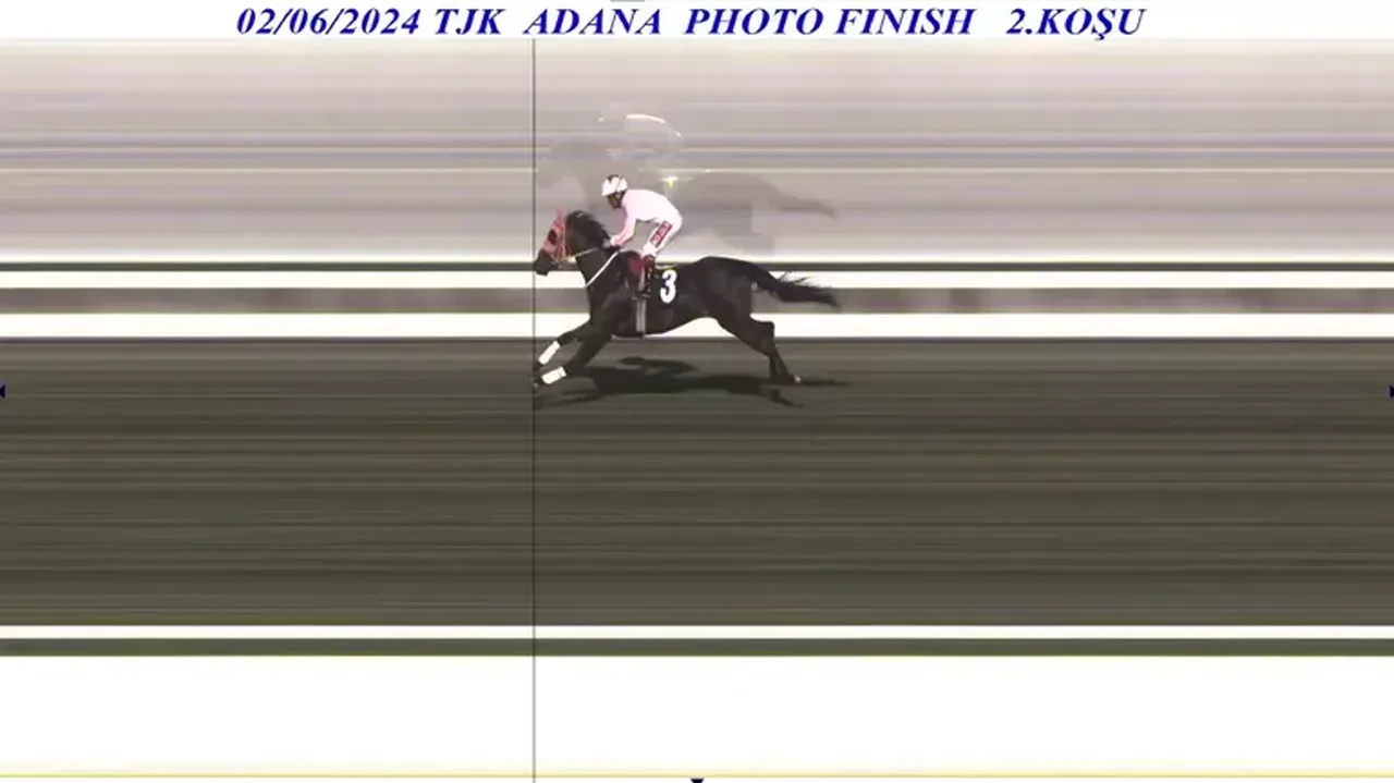 Şampiyon atı kavurma yapıp vatandaşa dağıttılar! Atın sahibi anlattıklarıyla şoke etti