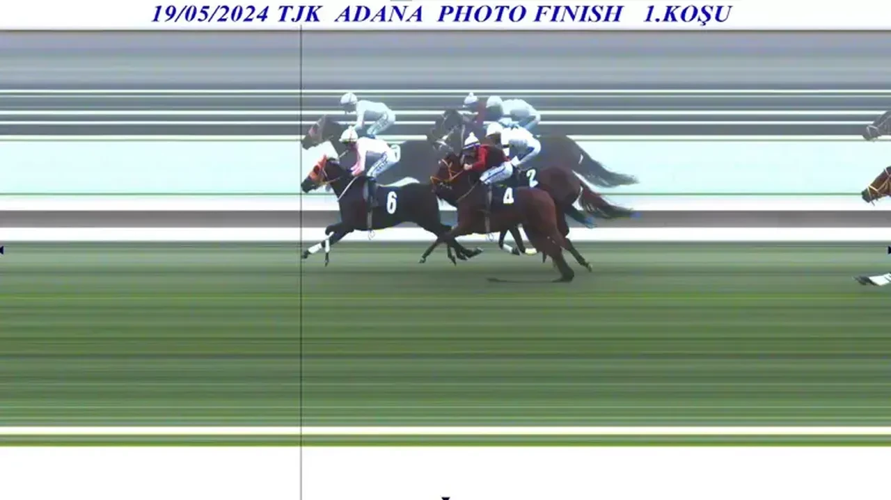 Şampiyon atı kavurma yapıp vatandaşa dağıttılar! Atın sahibi anlattıklarıyla şoke etti