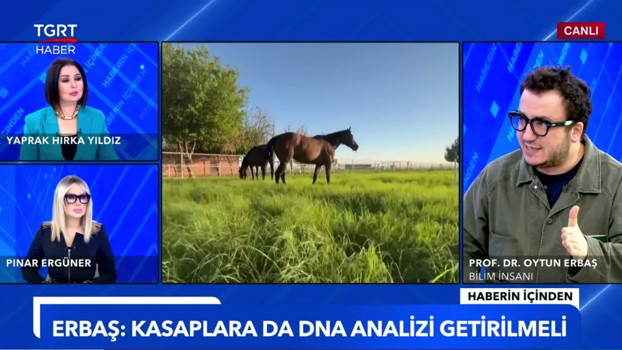 Prof. Dr. Erbaş’tan şok uyarı: Jelatin ve cipsler sağlığınızı tehdit ediyor!