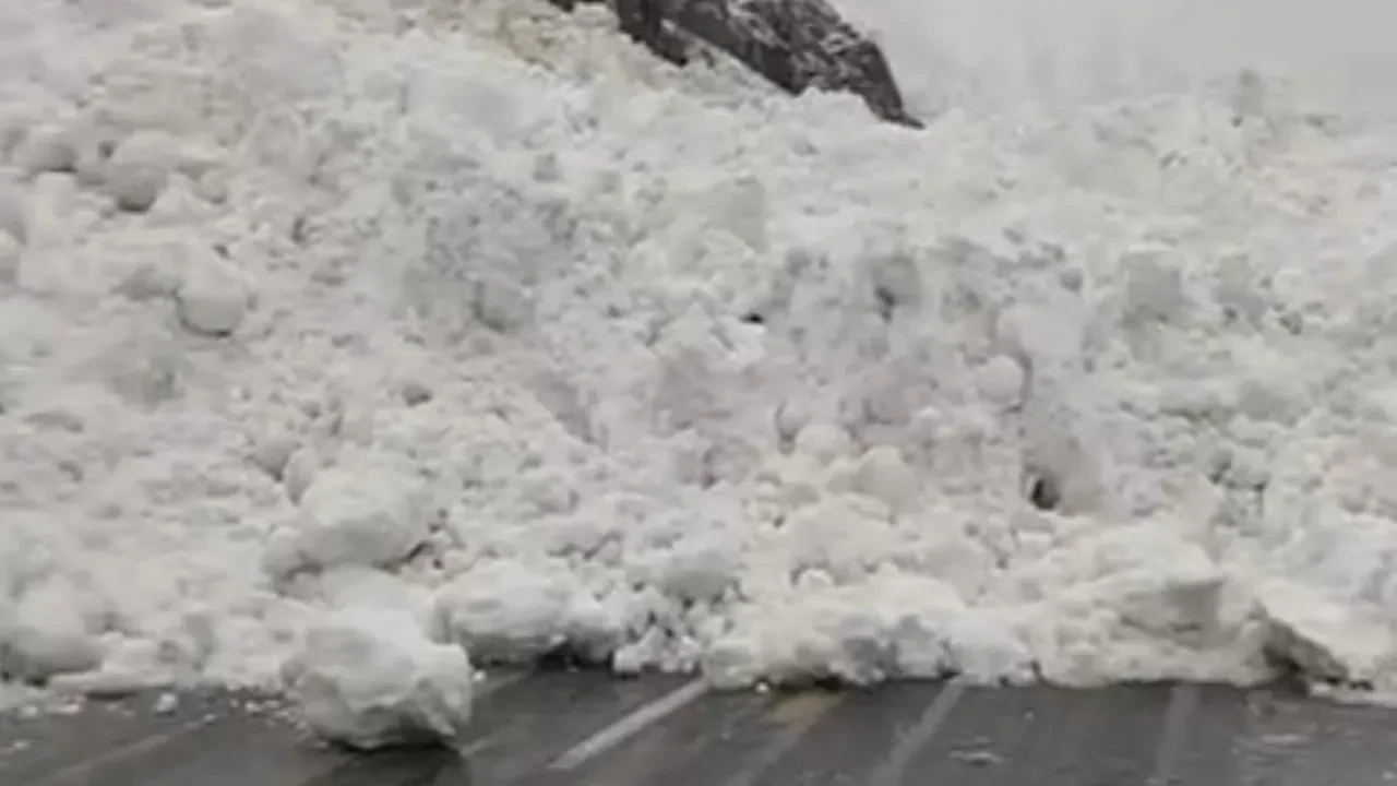 Çığ faciası ucuz atlatıldı: Hakkâri-Çukurca yolunda araçlar mahsur kaldı