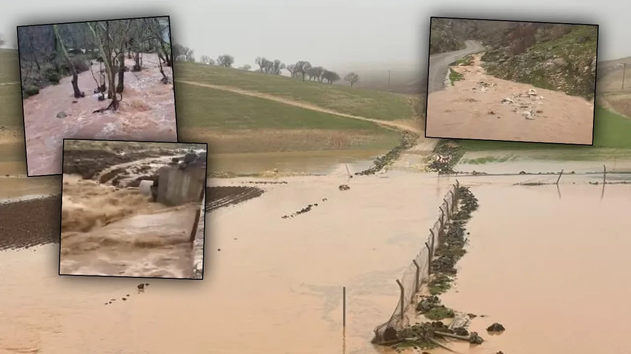 Güneydoğu sağanağa teslim! Sel vurdu, onlarca hayvan telef oldu