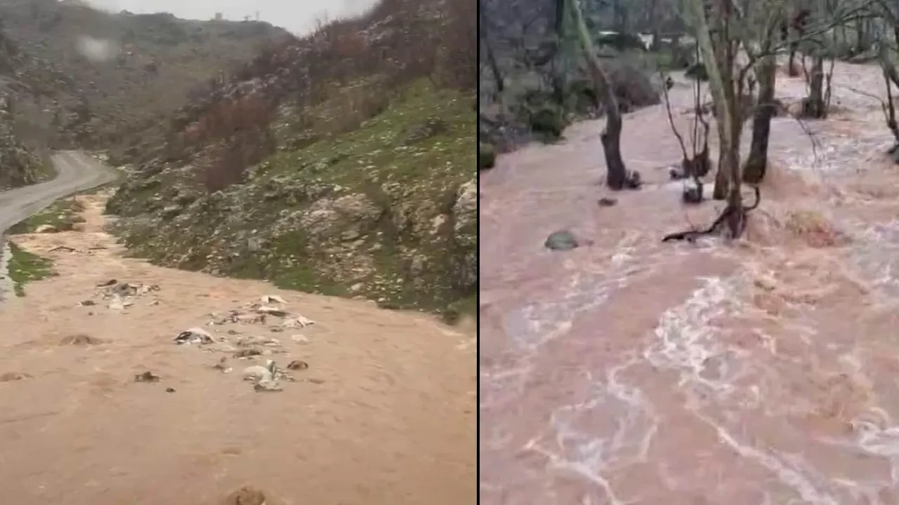 Doğu ve Güneydoğu sağanağa teslim! Sel vurdu, onlarca hayvan telef oldu