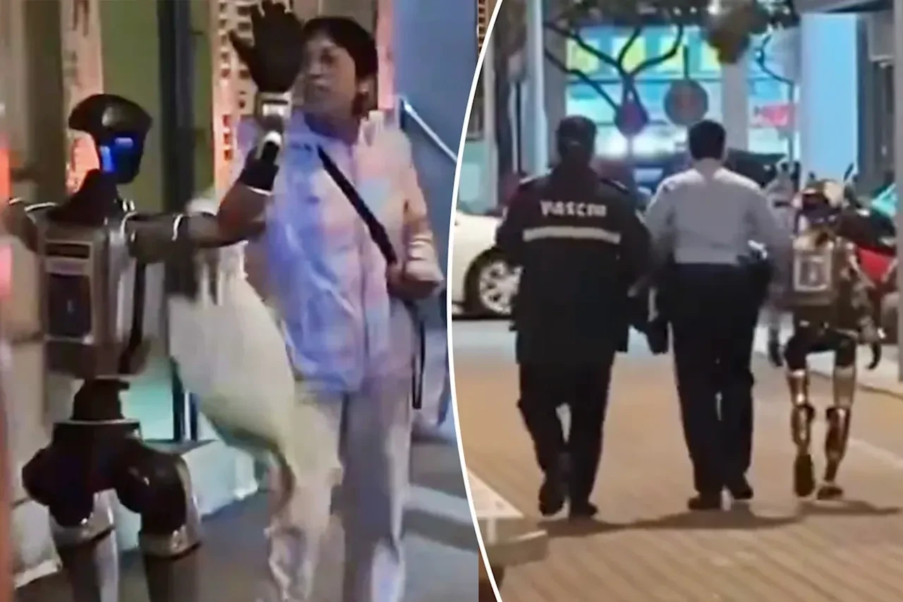 Yaşı kadını rahatsız eden robot tutuklandı